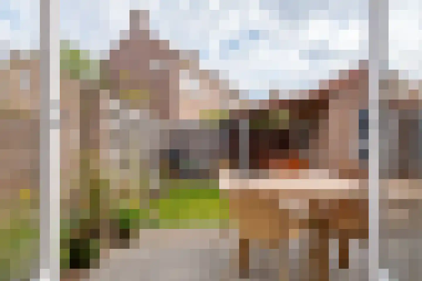 Abel Tasmanstraat 21 Zwolle thumbnail 22