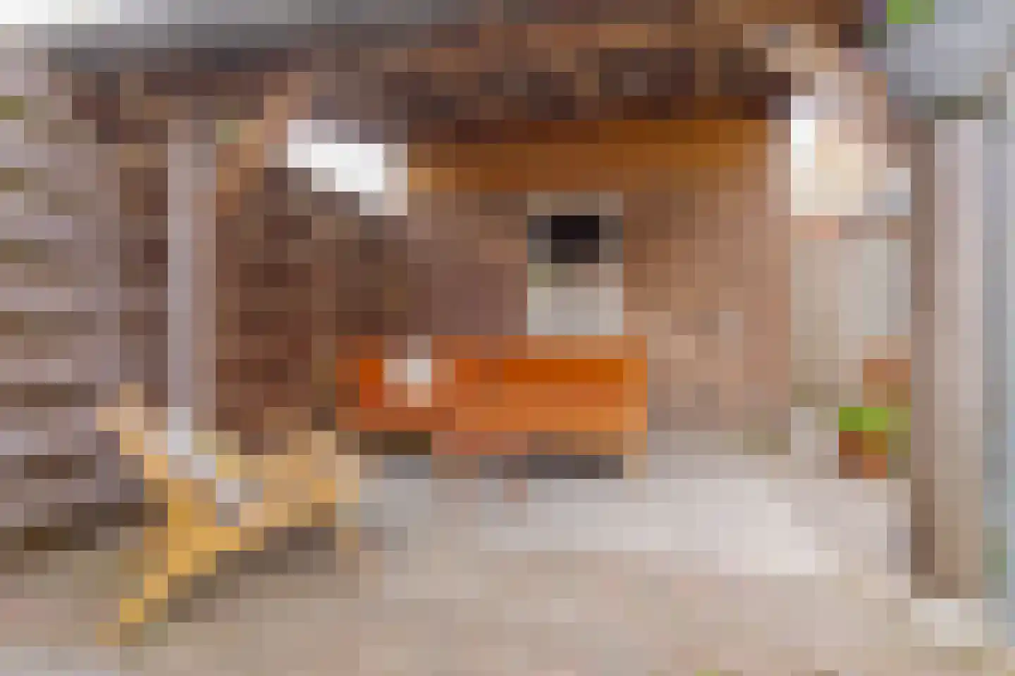 Abel Tasmanstraat 21 Zwolle thumbnail 26
