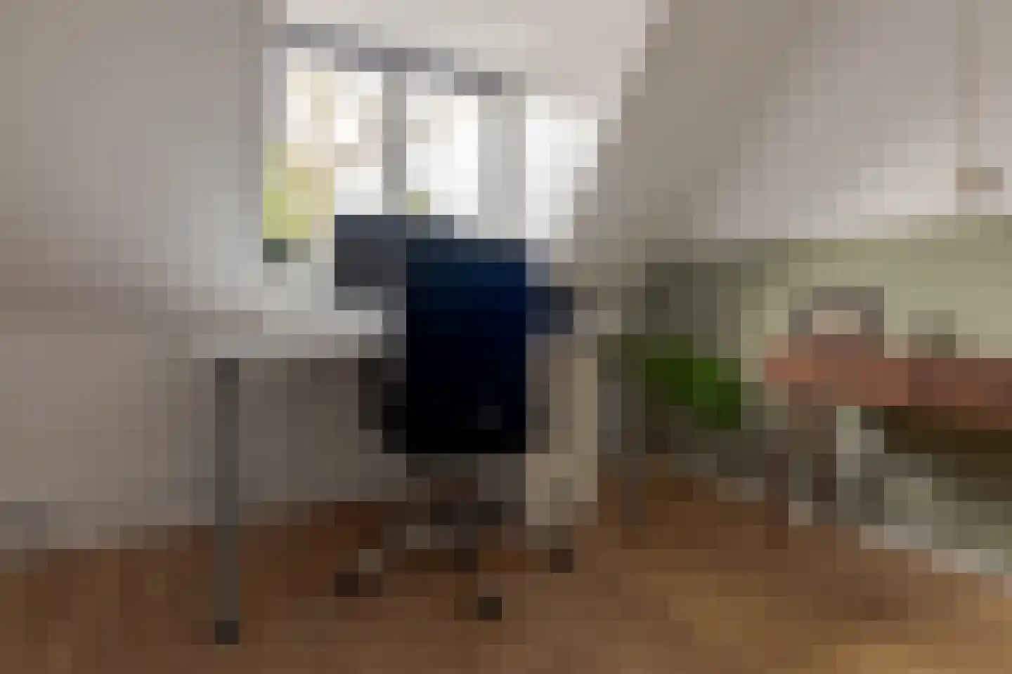 Abel Tasmanstraat 21 Zwolle thumbnail 40