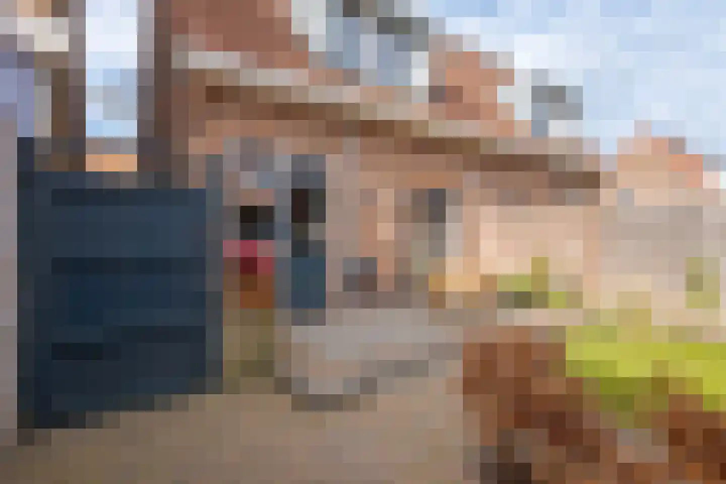 Abel Tasmanstraat 21 Zwolle thumbnail 47