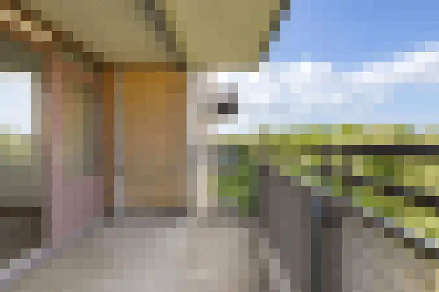 Abel Tasmanstraat 210 Zwolle thumbnail 5