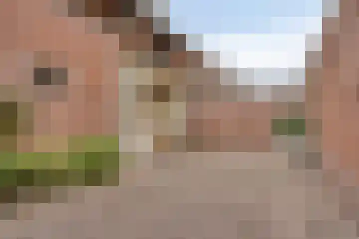 Abel Tasmanstraat 22 Valkenswaard thumbnail 24