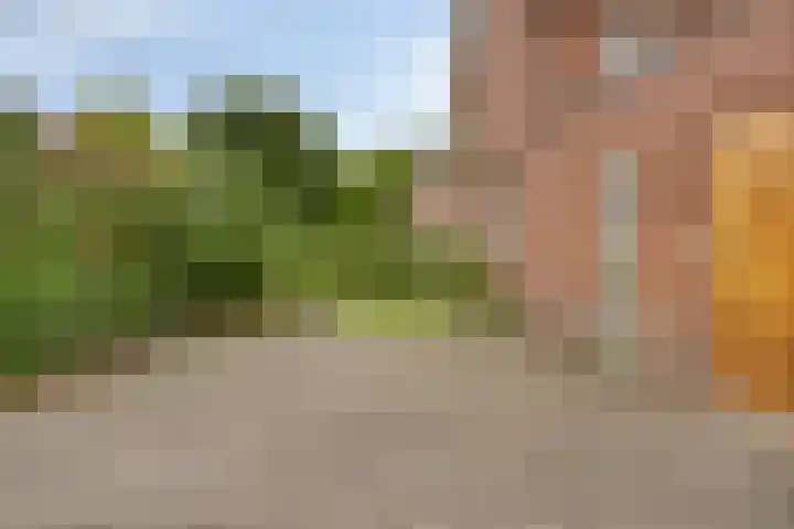 Abel Tasmanstraat 22 Valkenswaard thumbnail 31