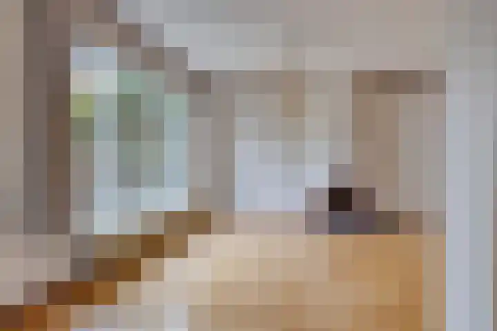 Abel Tasmanstraat 22 Valkenswaard thumbnail 5