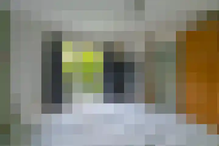 Abel Tasmanstraat 26 Utrecht thumbnail 23
