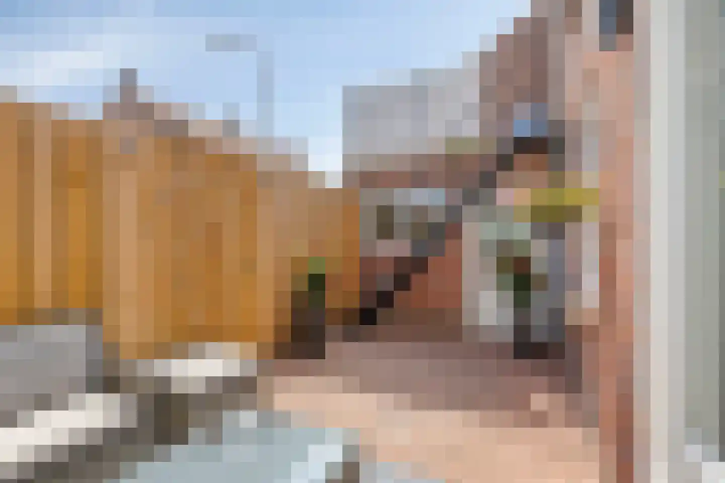 Abel Tasmanstraat 29 Tilburg thumbnail 33