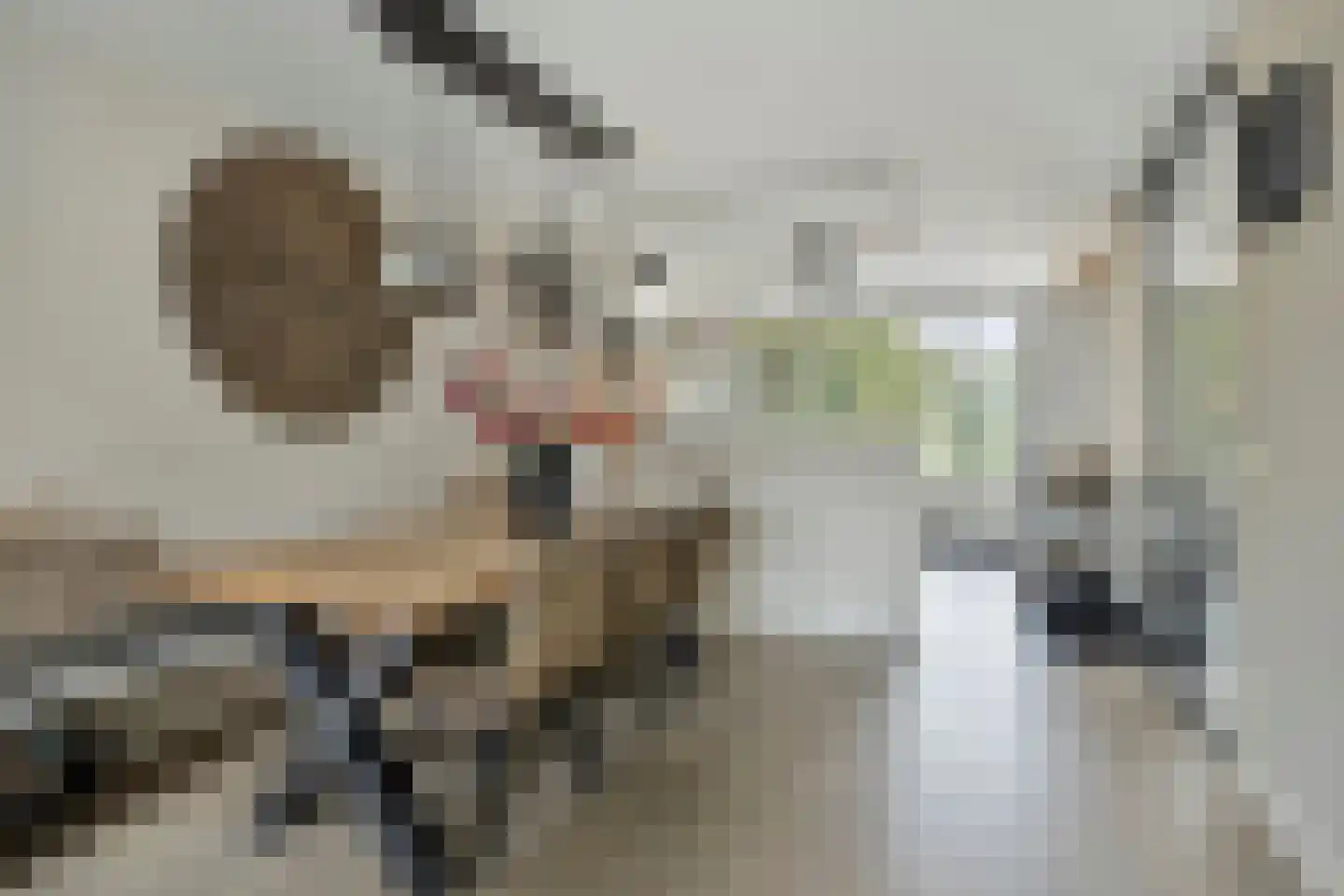 Abel Tasmanstraat 30 Capelle aan den IJssel thumbnail 11