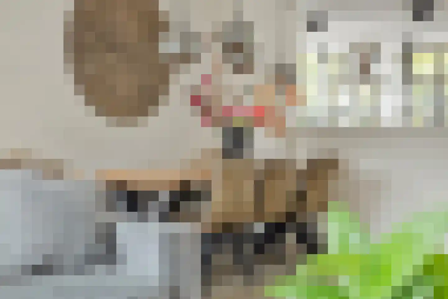 Abel Tasmanstraat 30 Capelle aan den IJssel thumbnail 12
