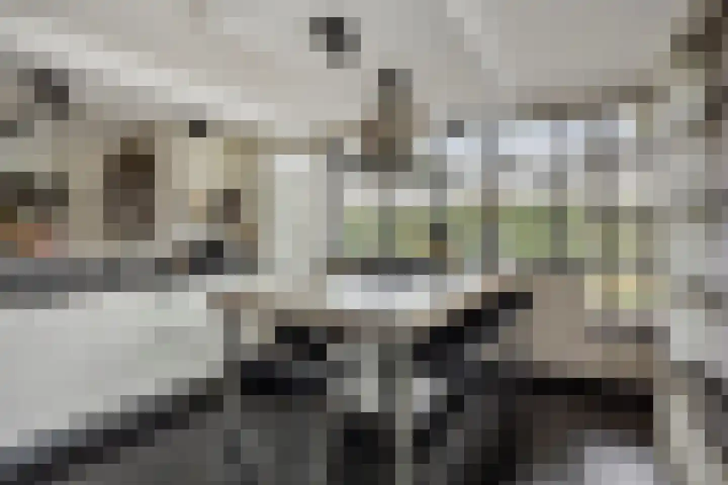 Abel Tasmanstraat 30 Capelle aan den IJssel thumbnail 15
