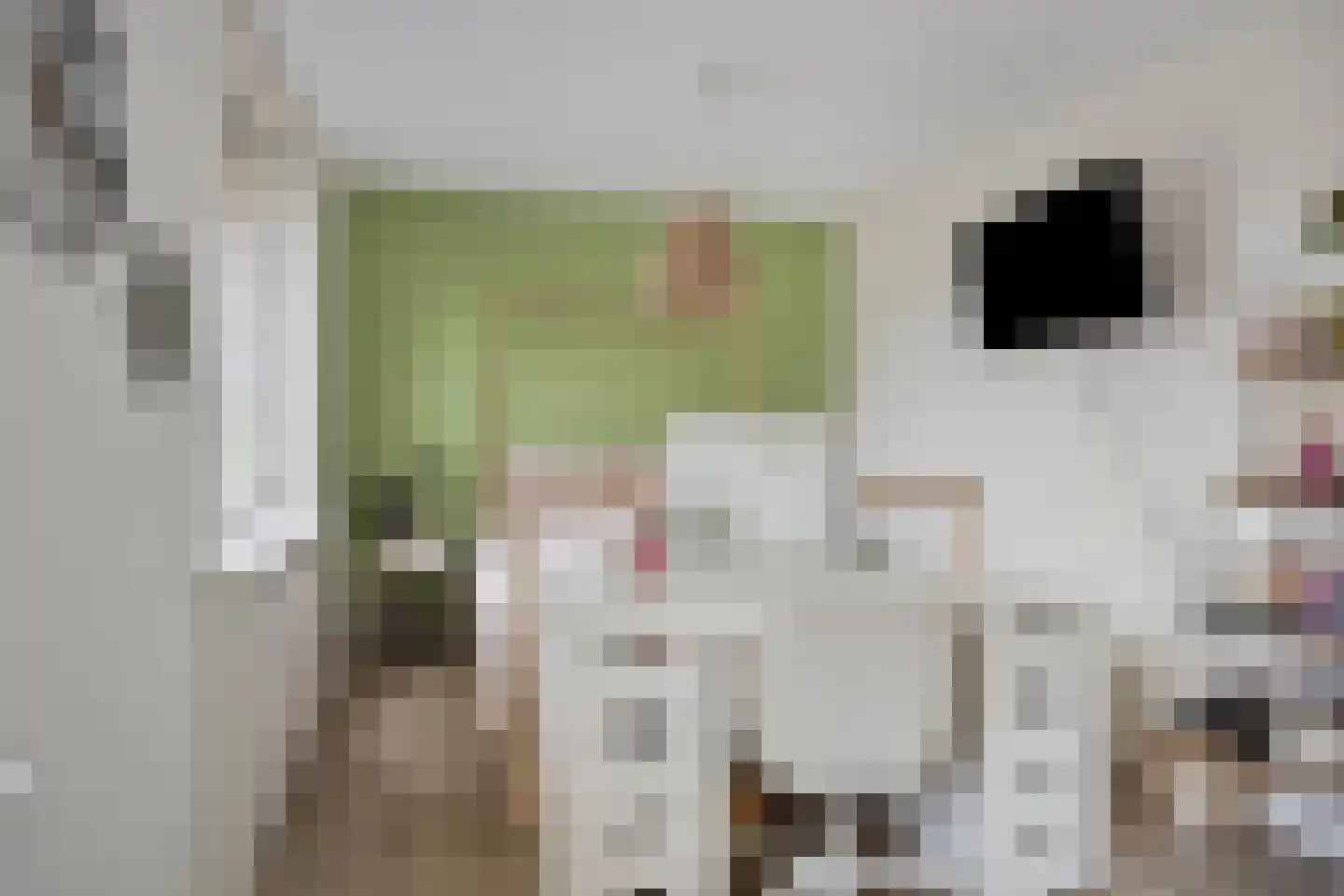 Abel Tasmanstraat 30 Capelle aan den IJssel thumbnail 31