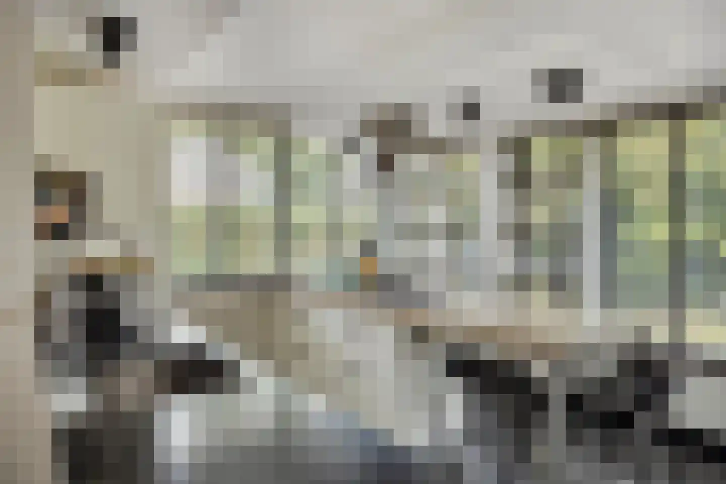 Abel Tasmanstraat 30 Capelle aan den IJssel thumbnail 4