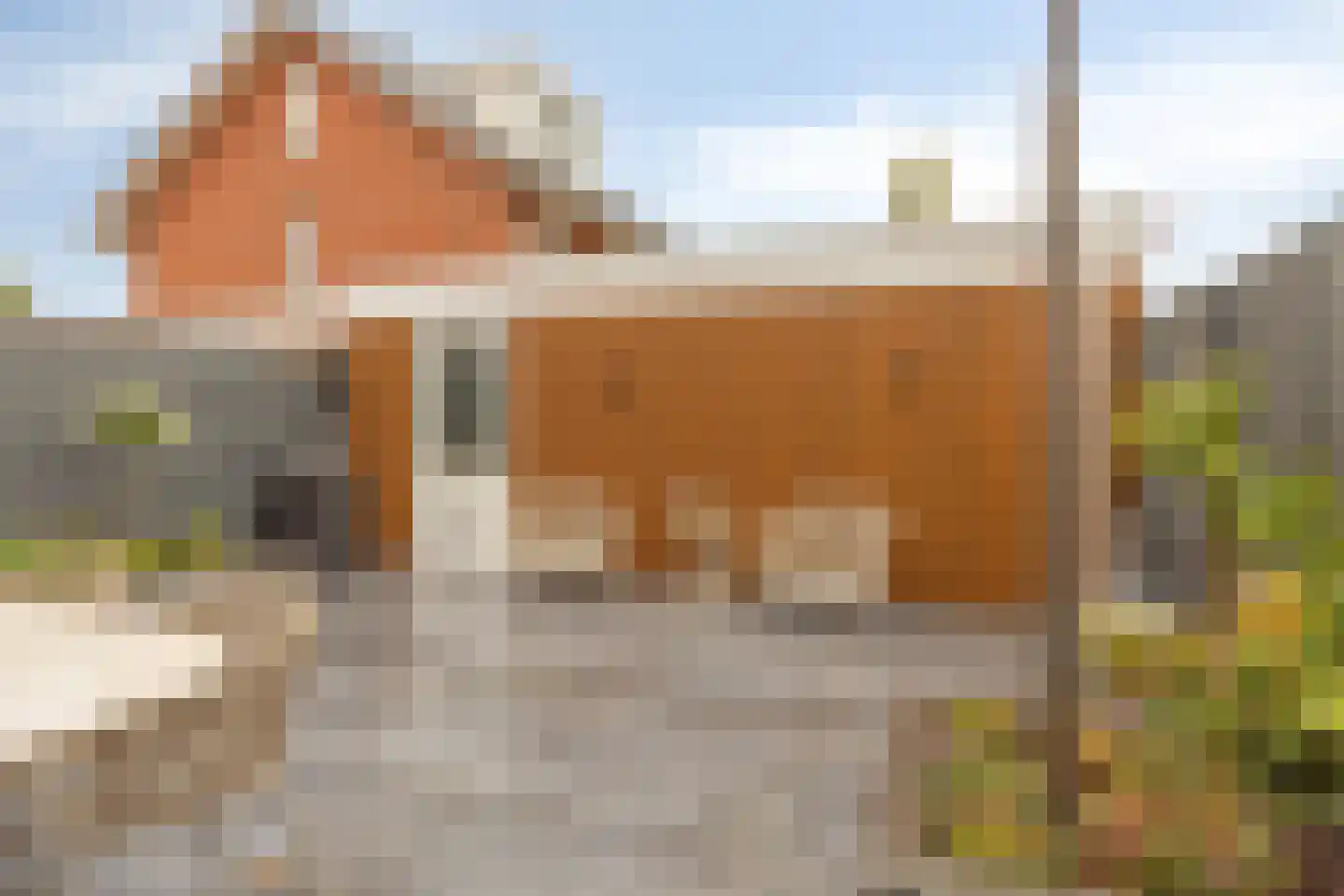 Abel Tasmanstraat 30 Capelle aan den IJssel thumbnail 41