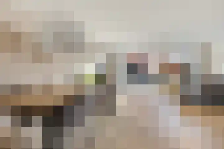 Abel Tasmanstraat 32 Capelle aan den IJssel thumbnail 4