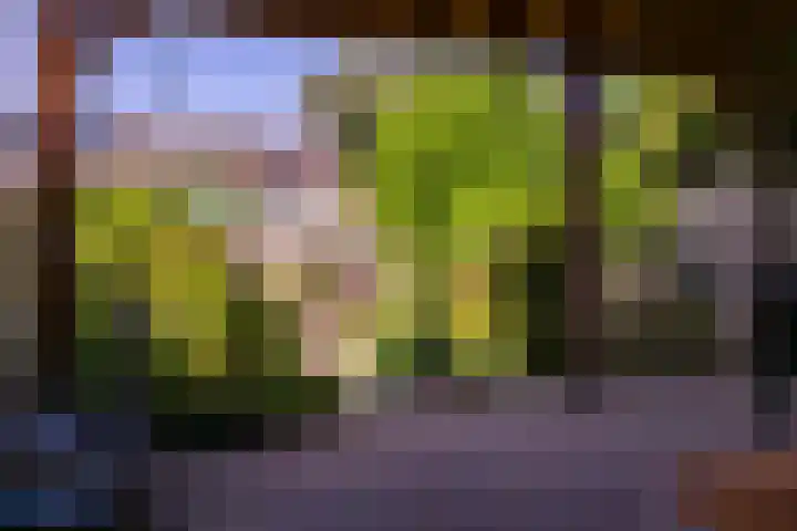 Abel Tasmanstraat 4 Rheden thumbnail 22