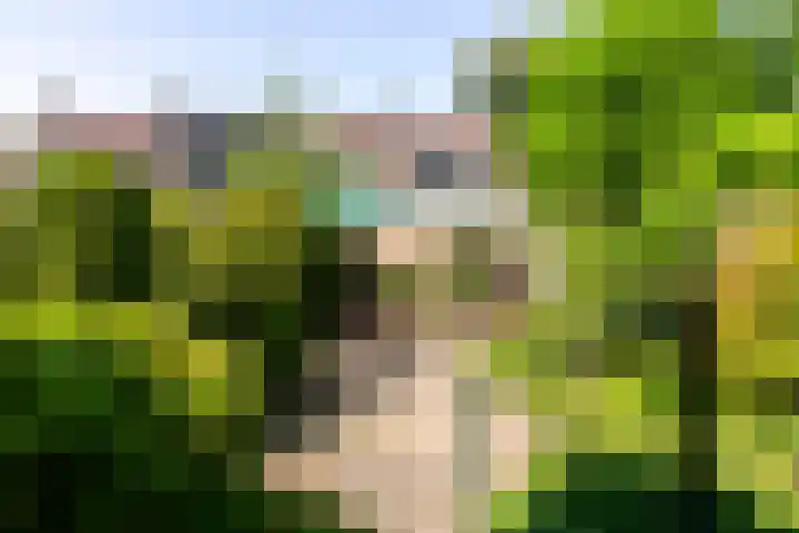 Abel Tasmanstraat 4 Rheden thumbnail 23