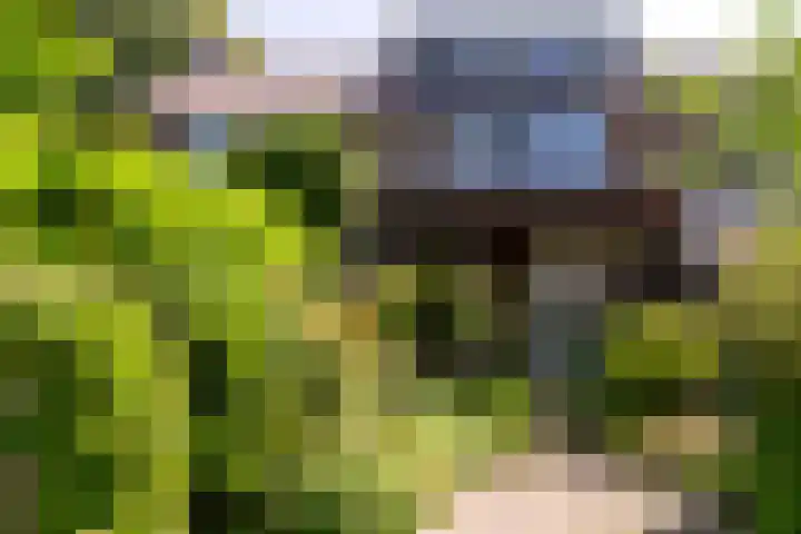 Abel Tasmanstraat 4 Rheden thumbnail 26
