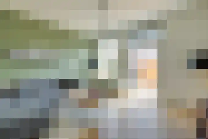 Abel Tasmanstraat 43 BS Utrecht thumbnail 4