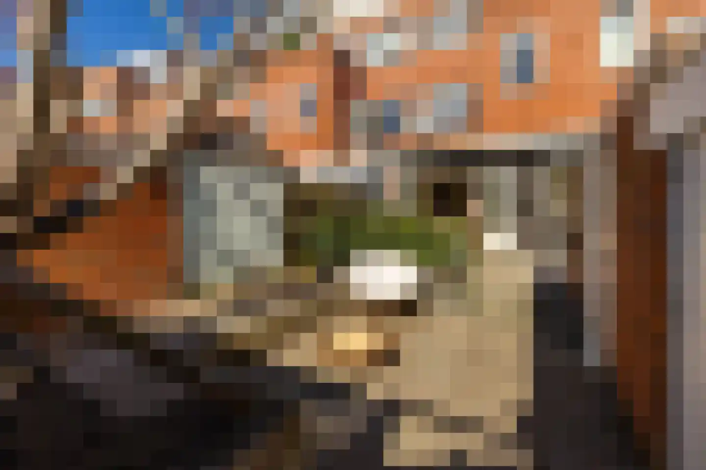 Abel Tasmanstraat 5 Groningen thumbnail 25