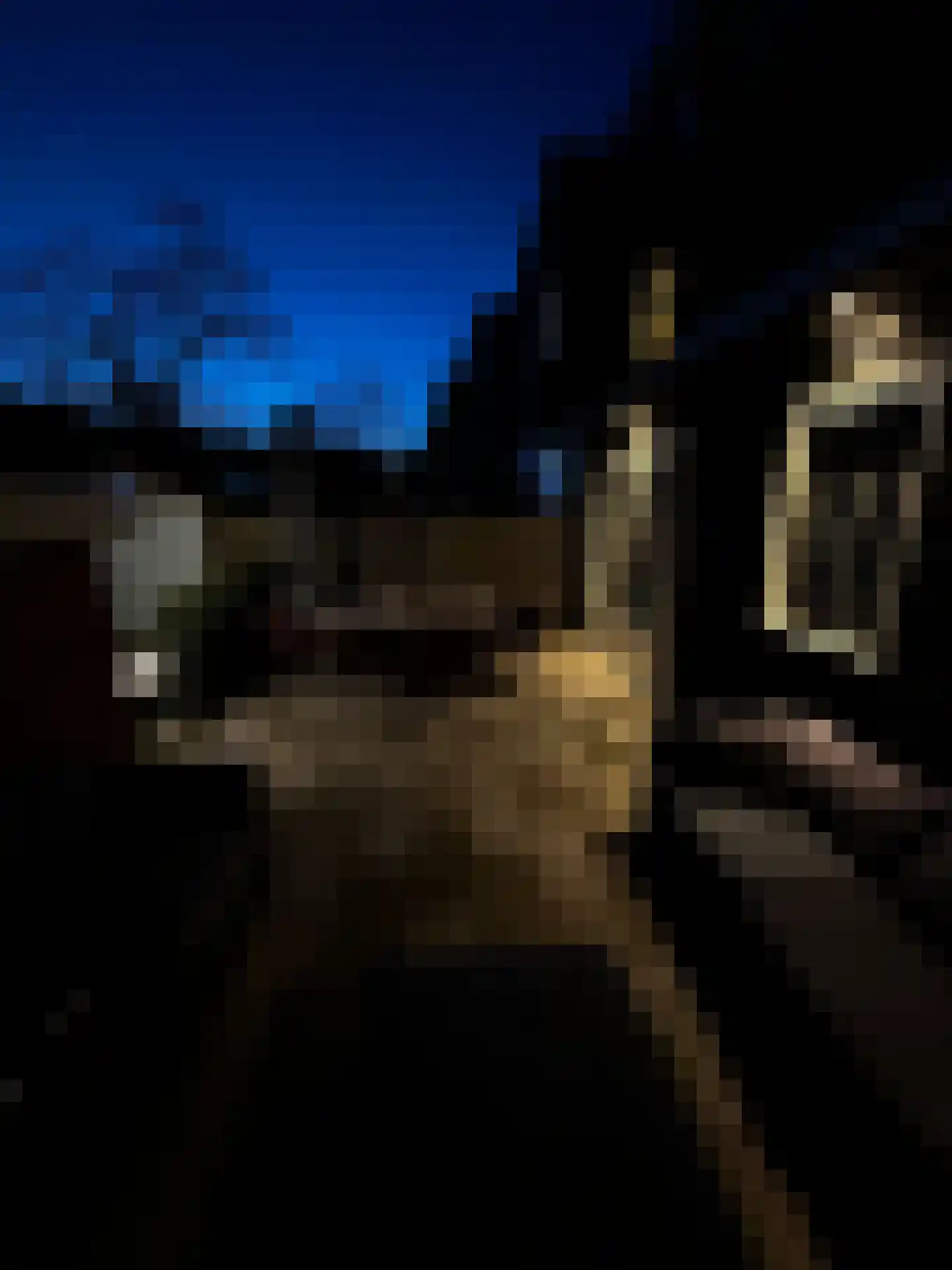 Abel Tasmanstraat 5 Groningen thumbnail 27