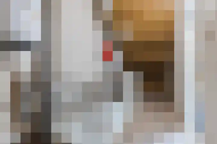 Abel Tasmanstraat 7 Bunschoten-Spakenburg thumbnail 31