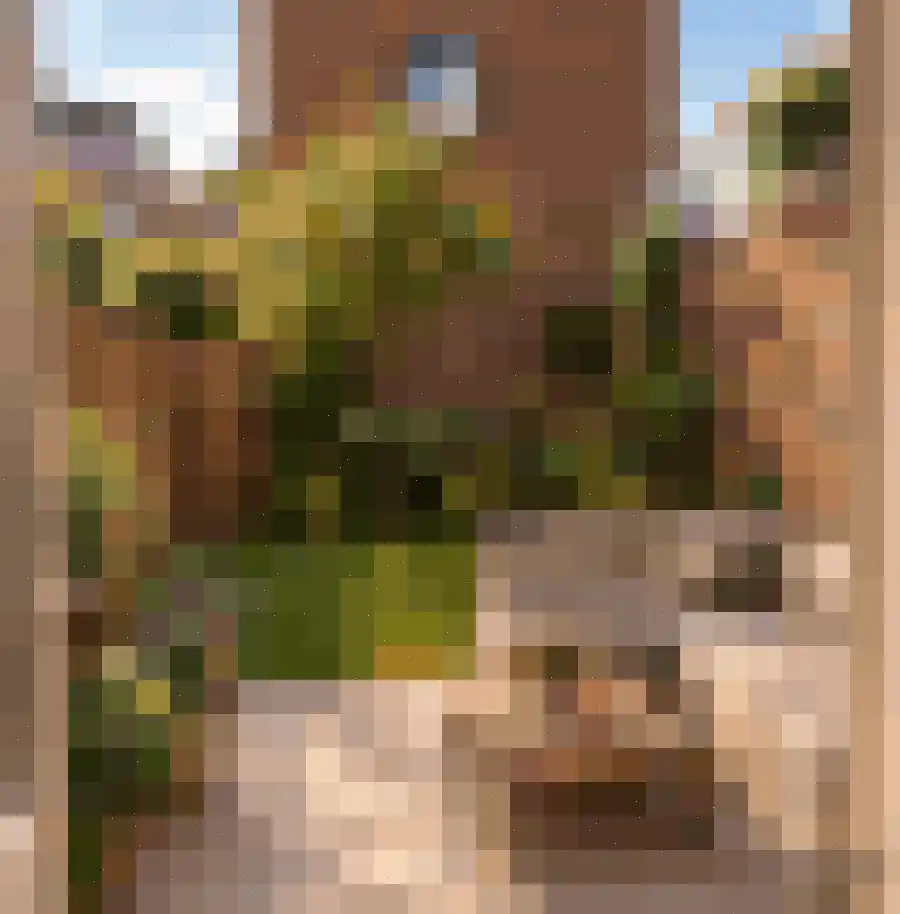 Abel Tasmanstraat 70 Utrecht thumbnail 12