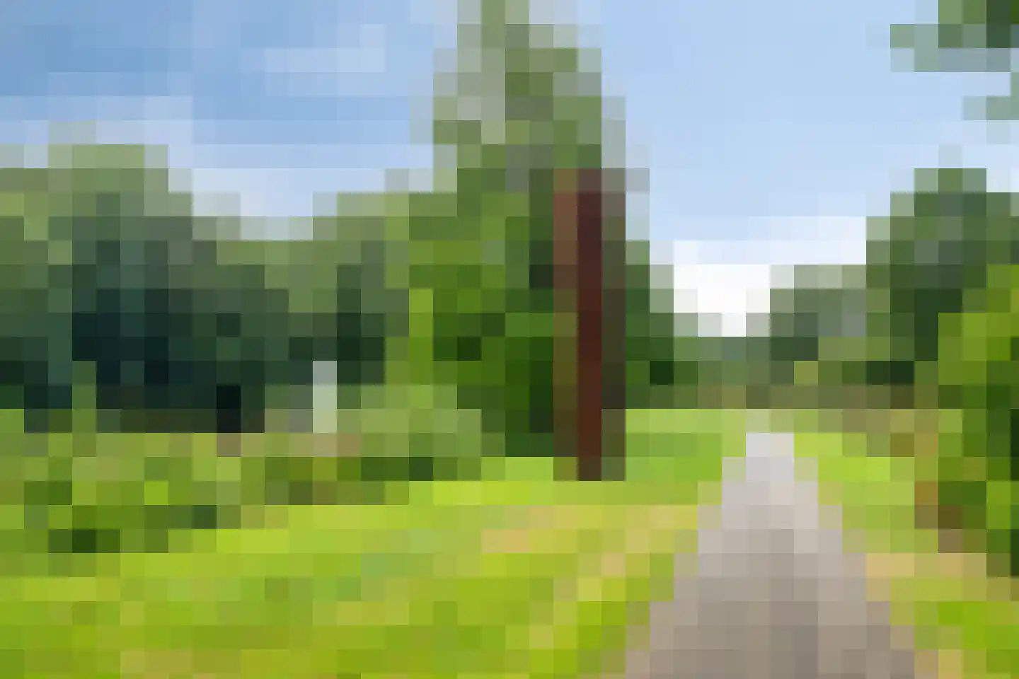 Abel Tasmanstraat 76 Winschoten thumbnail 34