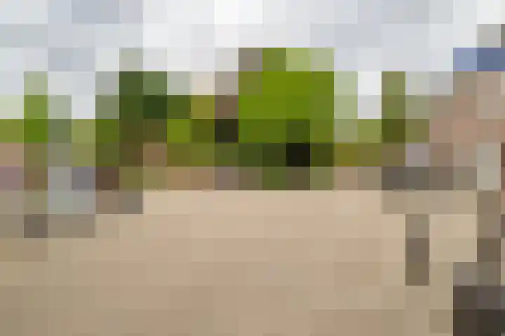Abel Tasmanstraat 78 Utrecht thumbnail 33