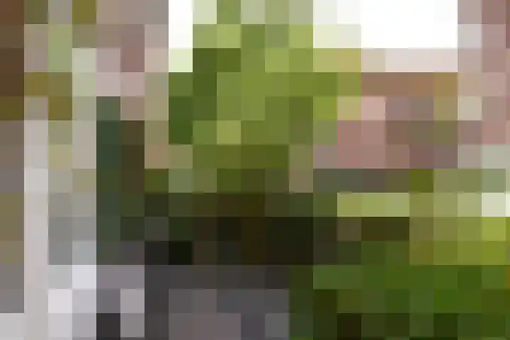 Abel Tasmanstraat 8 Groningen thumbnail 30