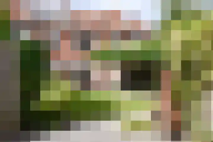 Abel Tasmanstraat 8 Groningen thumbnail 32