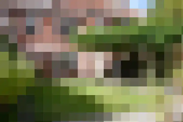 Abel Tasmanstraat 8 Groningen thumbnail 4