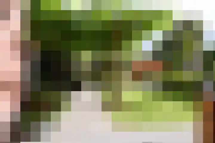 Abel Tasmanstraat 8 Groningen thumbnail 6