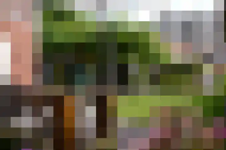 Abel Tasmanstraat 8 Groningen thumbnail 7
