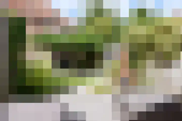 Abel Tasmanstraat 8 Groningen thumbnail 8