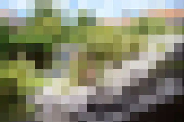 Abel Tasmanstraat 8 Groningen thumbnail 9