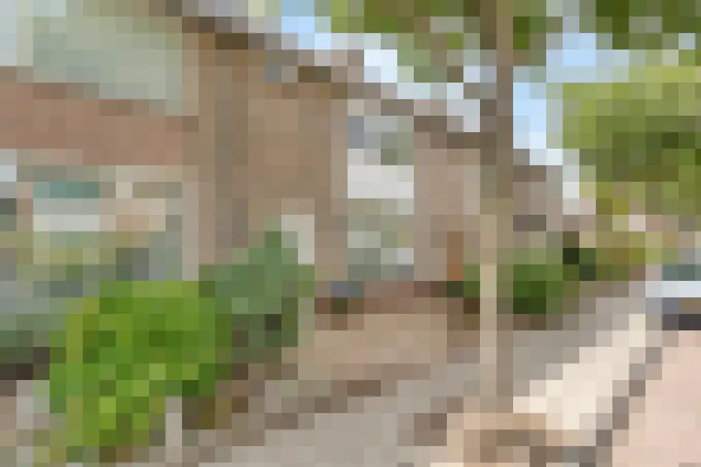 Abel Tasmanstraat 8 Maasdijk thumbnail 31