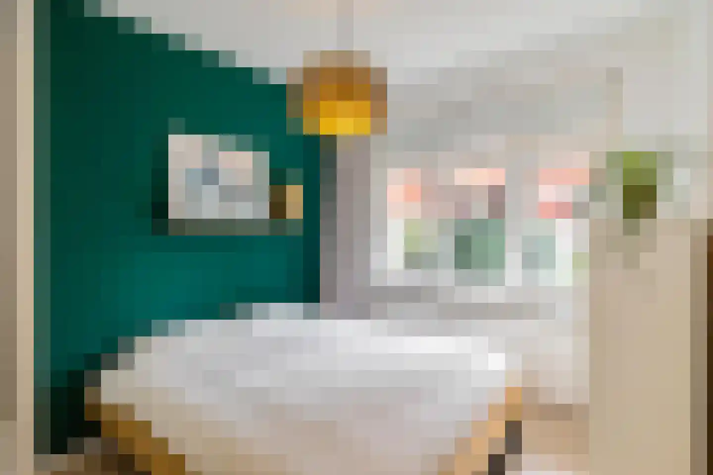 Abel Tasmanstraat 9 Groningen thumbnail 22
