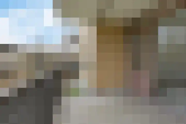 Abel Tasmanstraat 94 Zwolle thumbnail 31