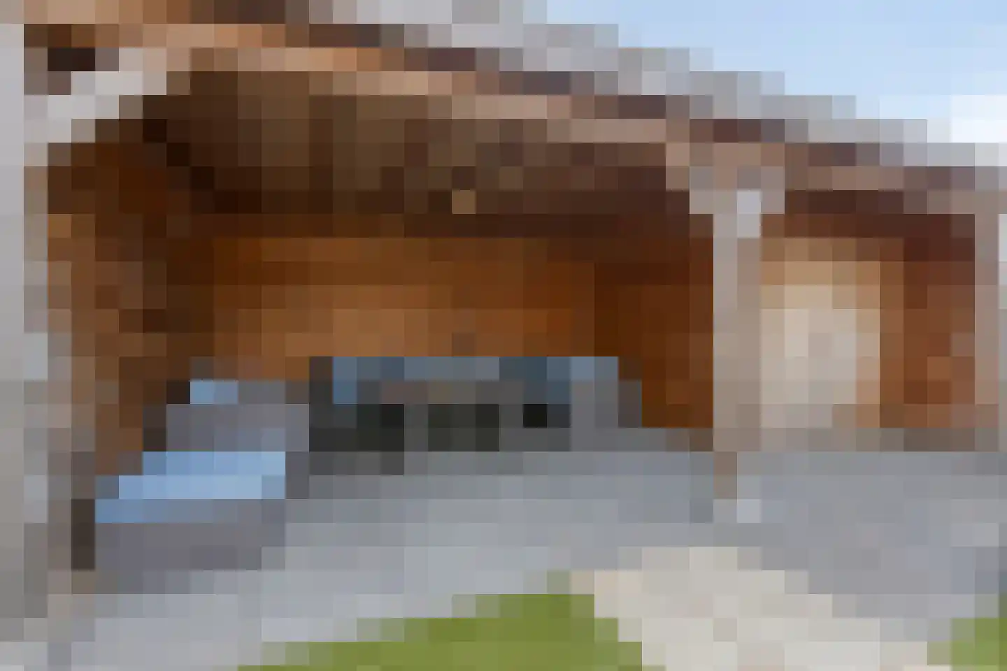 Abelenberg 2 Roosendaal thumbnail 44