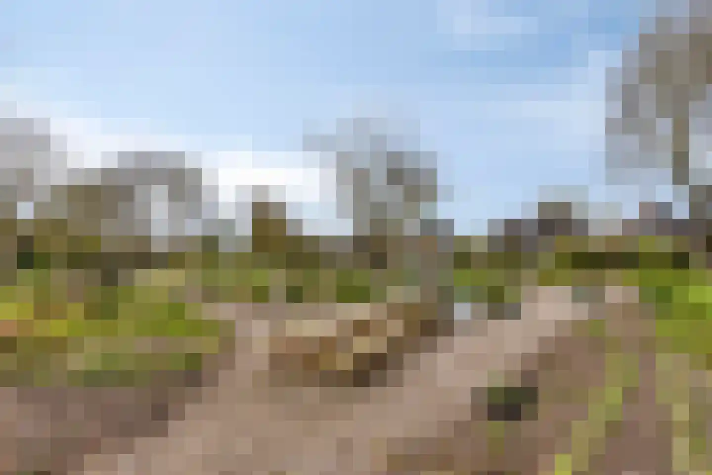 Abelenberg 2 Roosendaal thumbnail 53