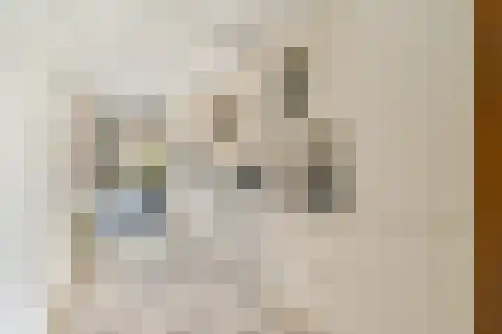 Abelendreef 5 Vlaardingen thumbnail 11