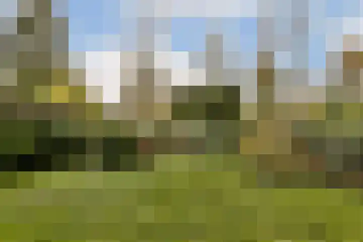 Abelendreef 5 Vlaardingen thumbnail 14