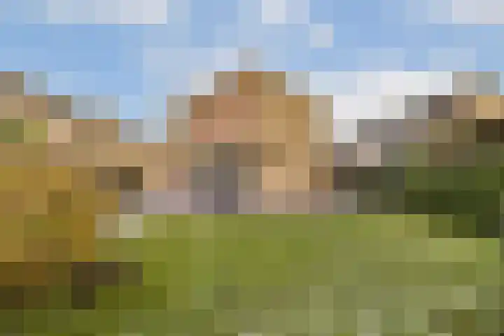 Abelendreef 5 Vlaardingen thumbnail 15
