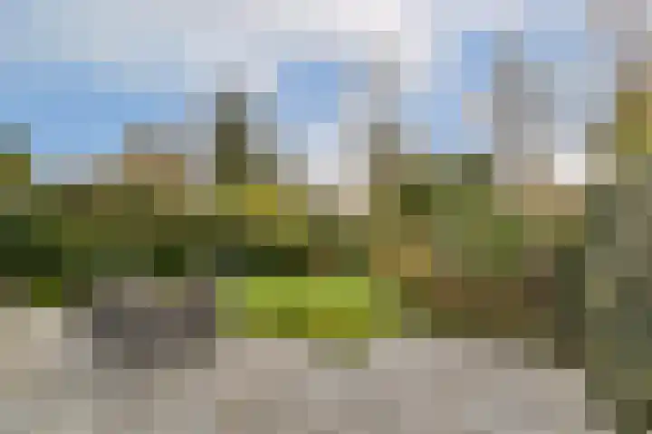 Abelendreef 5 Vlaardingen thumbnail 16