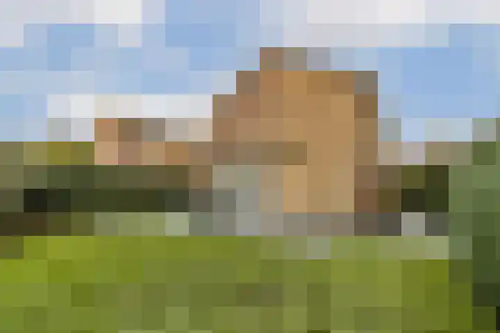 Abelendreef 5 Vlaardingen thumbnail 17