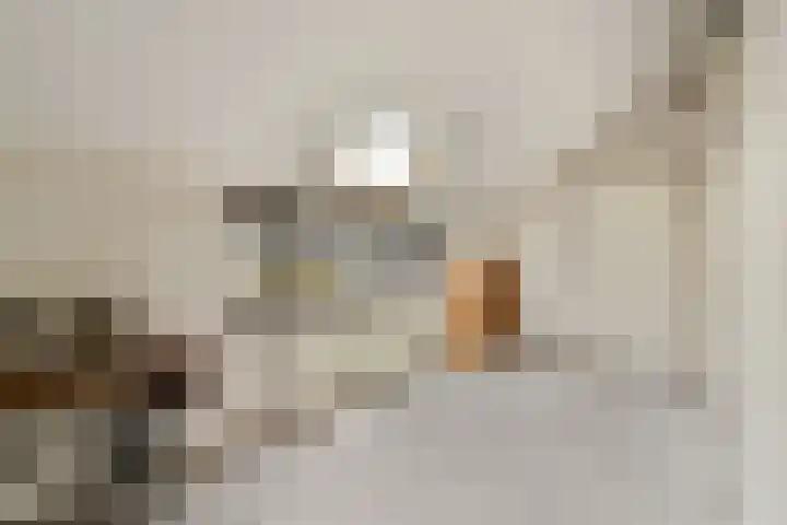 Abelendreef 5 Vlaardingen thumbnail 26