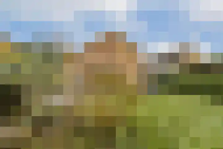 Abelendreef 5 Vlaardingen thumbnail 35