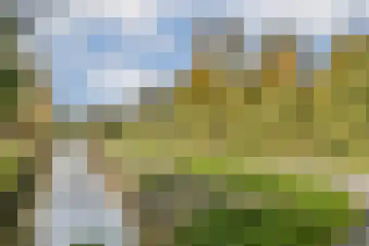 Abelendreef 5 Vlaardingen thumbnail 37