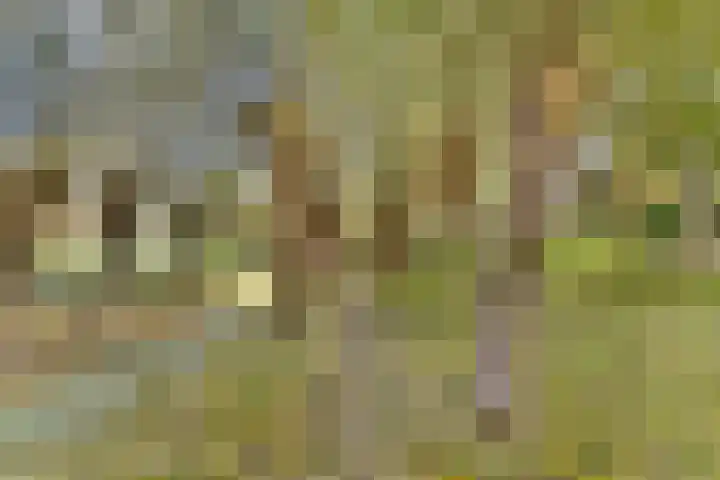 Abelendreef 5 Vlaardingen thumbnail 38