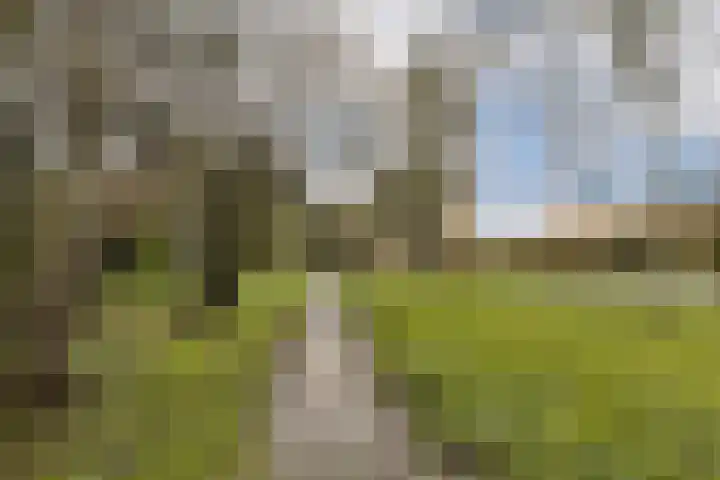 Abelendreef 5 Vlaardingen thumbnail 39