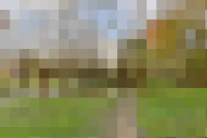 Abelendreef 5 Vlaardingen thumbnail 4